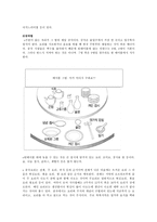 중국의 예절 중국의 이해-4