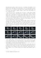 기록과 허구, 그 사이를 사유하는 프레임 - 에롤 모리스(Errol Morris) 의 가늘고 푸른 선(The Thin Blue Line) 을 통한 다큐멘터리와 극영화의 관계 다큐-2