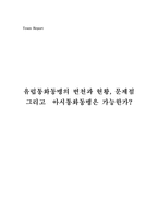 유럽통화동맹의 변천과 현황 문제점 그리고 아시통화동맹은 가능한가-1