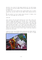 중국의 명절과 전통놀이문화-13