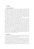 인문과학 보이지 않는 인간-2