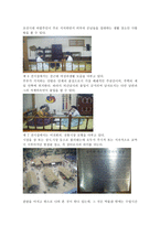 견학기행문 한밭 교육 박물관 을 다녀와서-4
