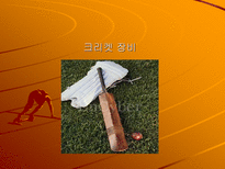 인문어학 영국과 미국의 스포츠-6