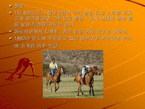 인문어학 영국과 미국의 스포츠-7