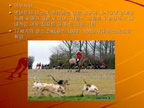 인문어학 영국과 미국의 스포츠-8