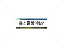 홈스쿨링문제점 홈스쿨링장단점-4