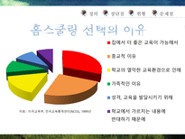 홈스쿨링문제점 홈스쿨링장단점-19