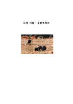 [도덕교육론] 공동체의식-1