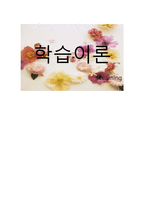 학습 이론 Thorndike Pavlov 스키너의 조작적 조건 형성 이론-1