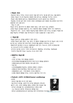 학습 이론 Thorndike Pavlov 스키너의 조작적 조건 형성 이론-3
