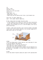학습 이론 Thorndike Pavlov 스키너의 조작적 조건 형성 이론-8