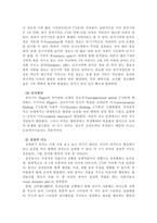 유아의 개인적 요소가 언어 발달에 미치는 영향-10