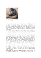 케테 콜비츠의 작품 속에서 찾은 생명의 이미지-3