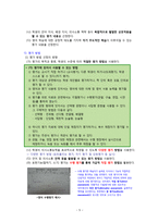 2011 공통교육과정 평가-5