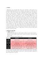 [초등도덕교육] 길리건과 나딩스의 배려윤리-2