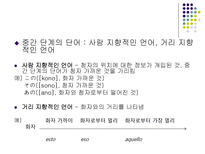 국어 의미론 직시 ppt 직시 개념 직시 중심 직시 표현 용법 직시 제스처 용법-14