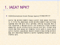 북_핵_문제와_남북_북미-3