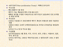 북_핵_문제와_남북_북미-4