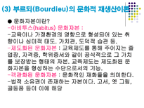 신교육사회학 교육과정 사회학의 이해 신교육사회학 신교육사회학의 기본 입장-11