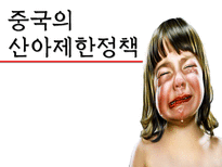 인문어학 중국의 산아 제한 정책-1