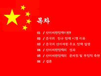 인문어학 중국의 산아 제한 정책-2