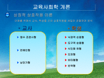 교육학 교육사회학의 이론적 접근 대안학교-11