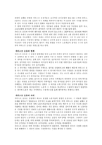 차티스트 운동과 그 의의-2