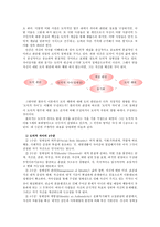 콜버그&블라시 이론으로 보는 초등도덕교육 - 초등도덕교육론-5