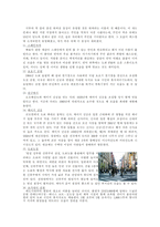 일본 여행계획서 [동기 및 취지, 여행 전 기초상식, 주의사항, 여행 준비물, 여행일정]-5
