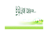 교육학 브루너에 대하여-1
