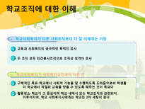 학교교육과 사회복지 학교사회복지 개념 학교사회복지의 역사와 현황-18