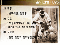 한국사 의병전쟁 을미의병 호남의병 의병운동 항일의병 정미의병 무장투쟁-5