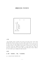 해방공간과 작가의식 허준 작가의식 이태준 작가의식 채만식 작가의식 김동리-1