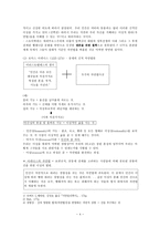 [서양윤리교육론] 도덕적 객관주의에 대하여(논의방향 제시, 자연법, 객관주의, 상대주의)-4