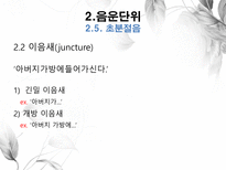 음운론 음운단위 음성 음소 변이음 분절음 음절 음운체계 자음체계 모음체계-19