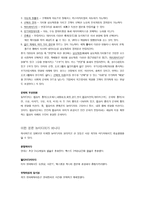뉴미디어의 언어 제1장 뉴미디어란 무엇인가-2