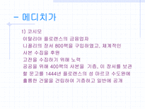 르네상스 시대 도서관에 대하여 인쇄술의 발달-13