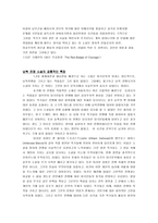 미국 남북전쟁의 문학사적 의미-3