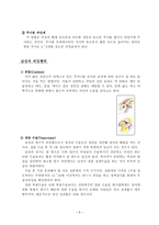 여성의 피임 행위 피임 의미 피임 역사 피임 효과 피임 방법 피임 방법 고려 사항 피임 종류 피임 방법 피임 효과 배란일 추정법 피임 월경주기 피임 기초체온 이용법 피임 점액 관찰법피임-8
