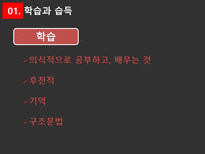 언어의 세계 언어습득 과정-4