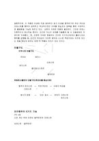 희곡연구 장 폴 사르트르의 파리떼-9