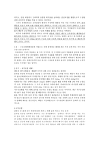 대운하 대운하 정의 대운하 순기능 대운하 역기능 대운하 시사 대운하 사회문제-3