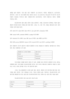 인도네시아어의 역사-6