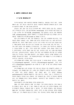 종교와 철학 사실과 믿음의 가치-4