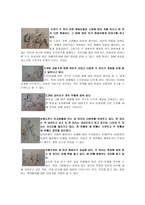 아동주제통각검사 C A T 아동주제통각검사 배경 아동주제통각검사 역사 아동주제통각검사 _¡ 아동주제통각검사 방법 아동주제통각검사 분석 아동주제통각검사 해석 아동주제통각검사 예시-5
