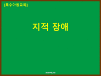 특수아동교육 지적 장애-1