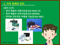 특수아동교육 지적 장애-5