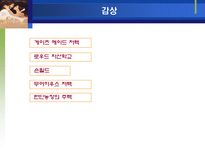 인문과학 제인에어 작가-14