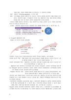 교육학 유아 교육과정 탐구의 변천사 유아 교육과정 이론-5