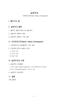 [탐구 보고서] 키에르케고르의 실존주의와 교육 철학-1